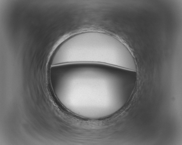 X0000078870008200611131040