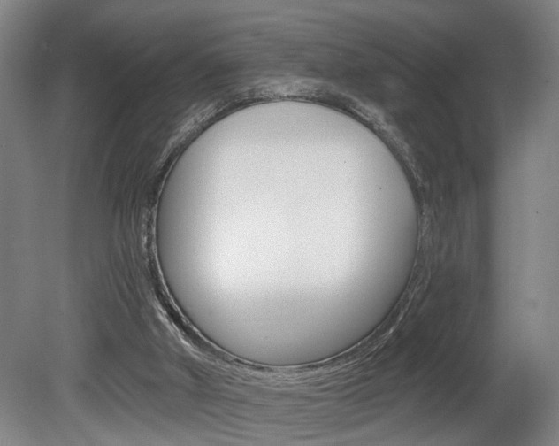 X0000078870010200611131040