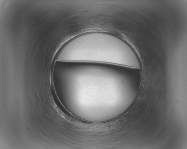 X0000078870011200611131040