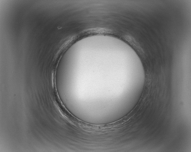 X0000078870014200611131040