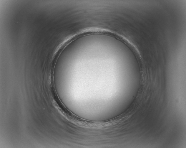 X0000078870015200611131040