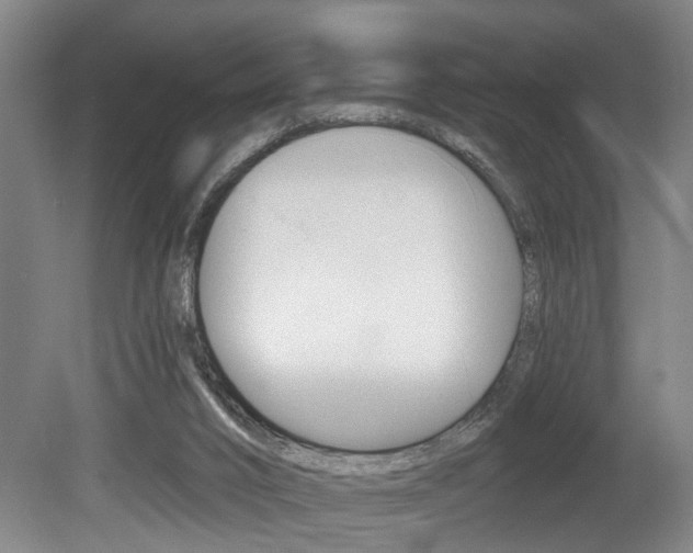 X0000078870016200611131040