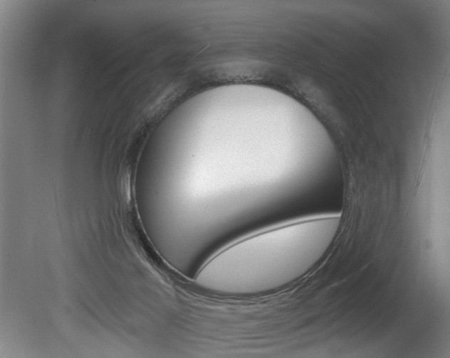 X0000078870021200611131040