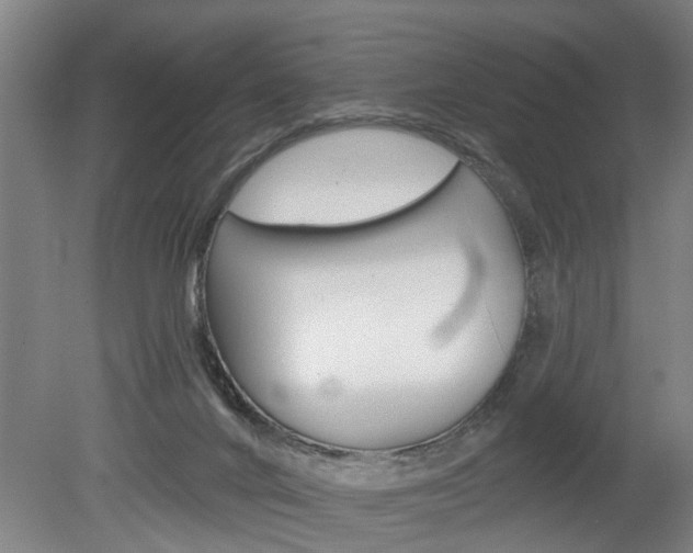 X0000078870024200611131040