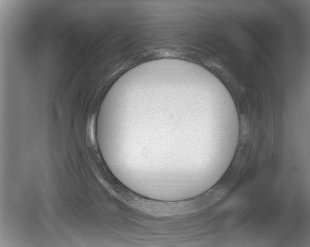 X0000078870028200611131039