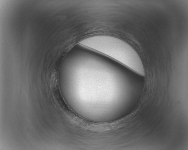 X0000078870029200611131039