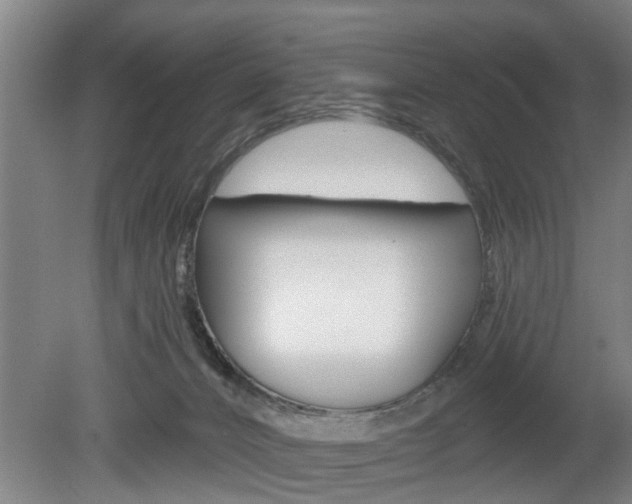 X0000078870032200611131039