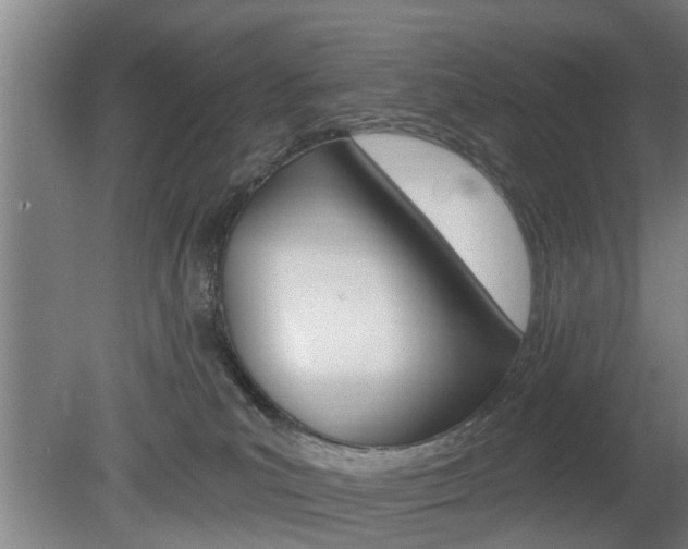 X0000078870039200611131039