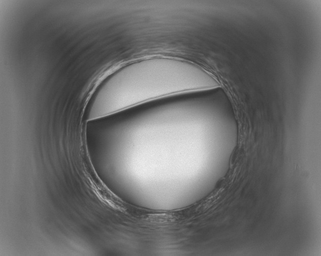X0000078870050200611131038