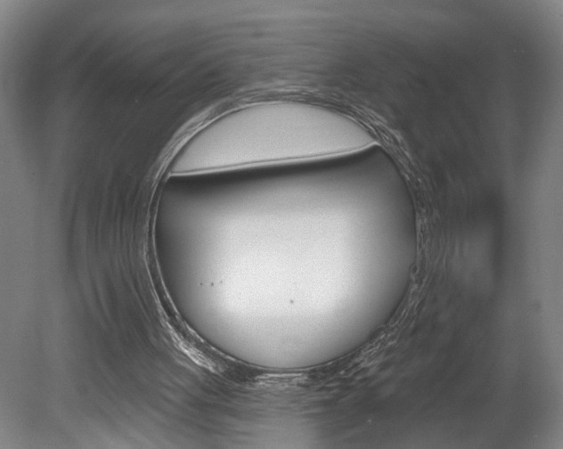 X0000078870051200611131038