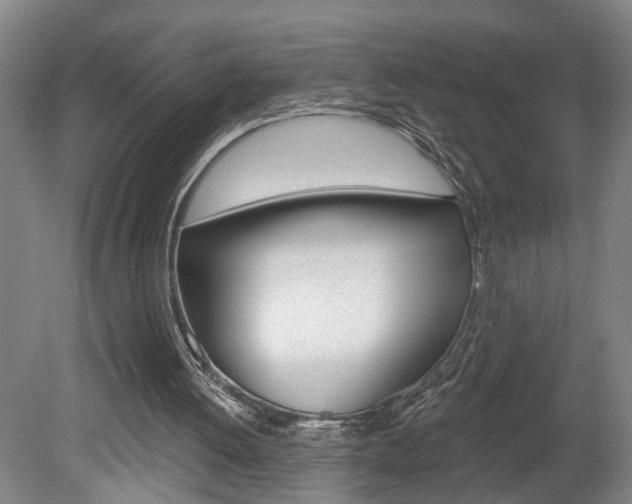 X0000078870052200611131038