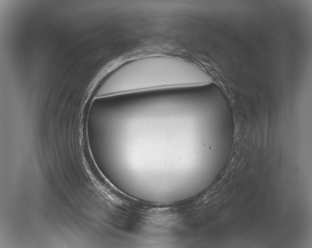 X0000078870054200611131038
