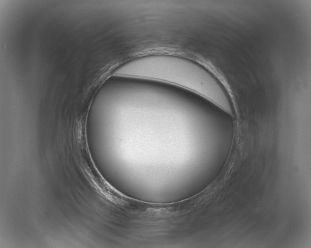 X0000078870057200611131038