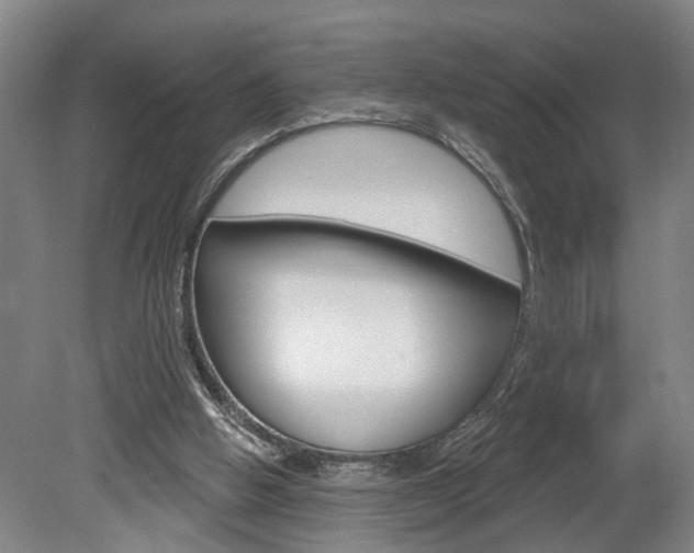 X0000078870058200611131038