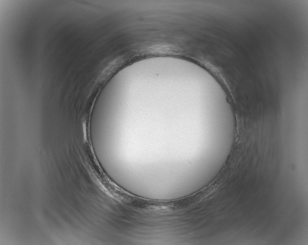 X0000078870061200611131039