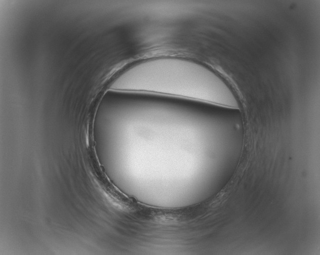 X0000078870062200611131039