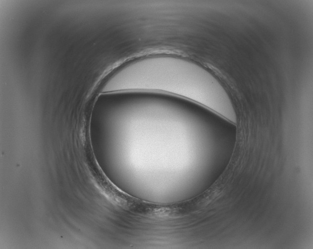 X0000078870064200611131039