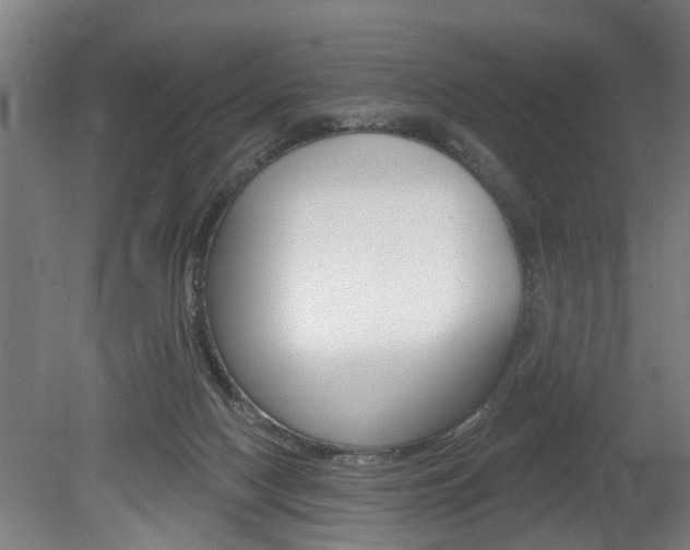 X0000078870074200611131039