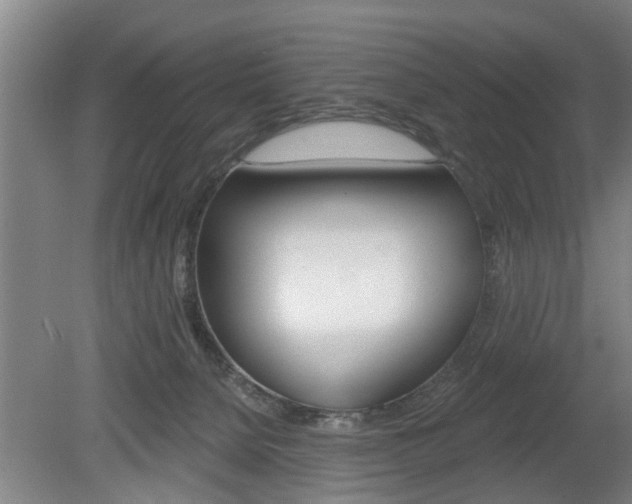 X0000078870080200611131039
