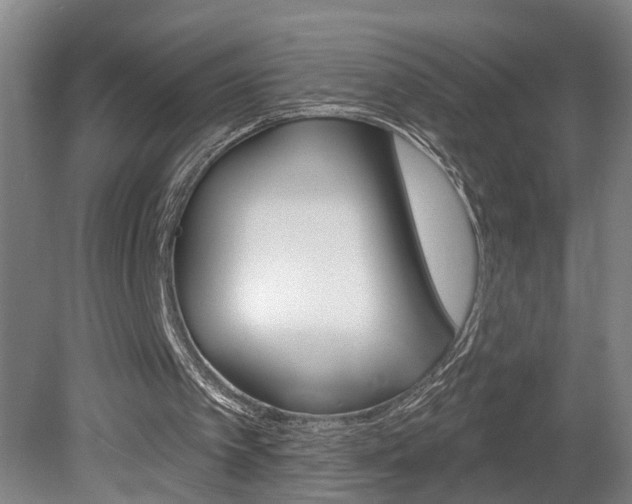 X0000078870097200611131038