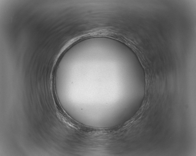 X0000078870100200611131038