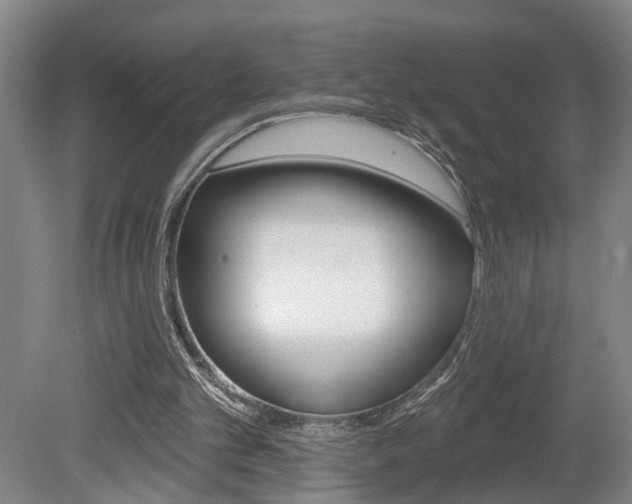X0000078870101200611131038