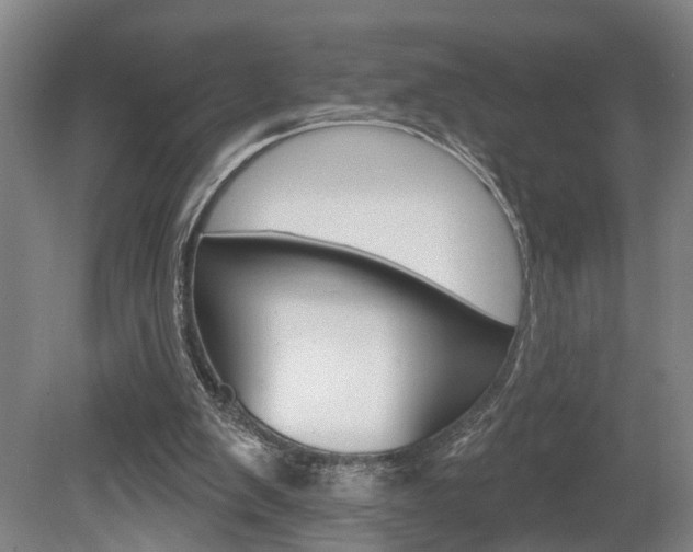 X0000078870103200611131038