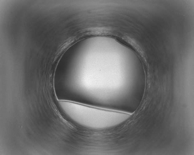 X0000078870105200611131038