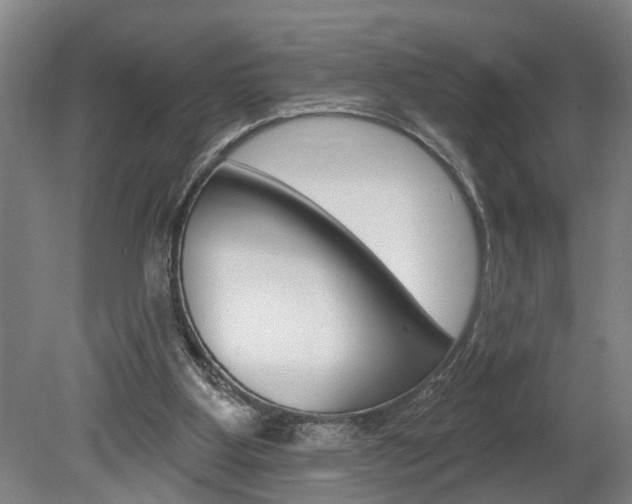 X0000078870107200611131038