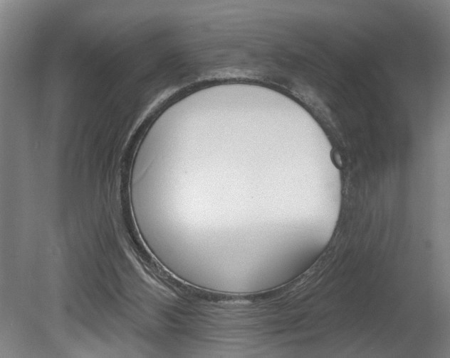 X0000078870108200611131038