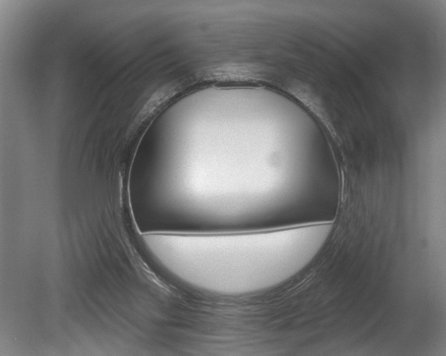 X0000078870109200611131038
