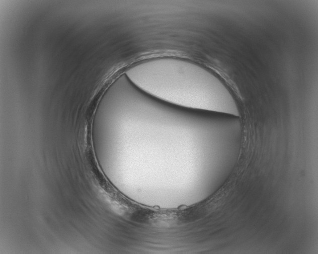 X0000078870110200611131038