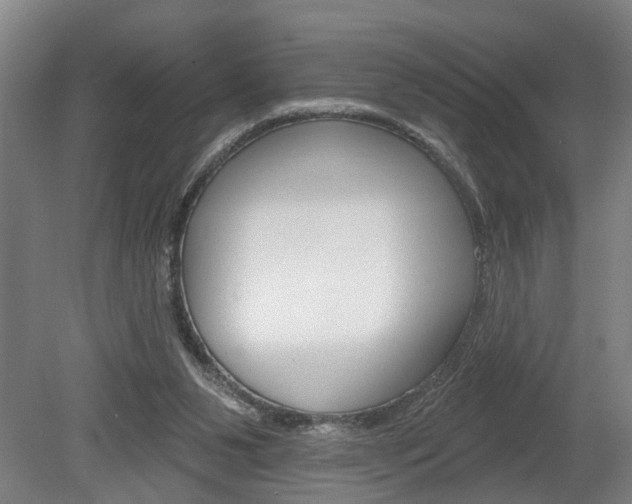 X0000078870111200611131038