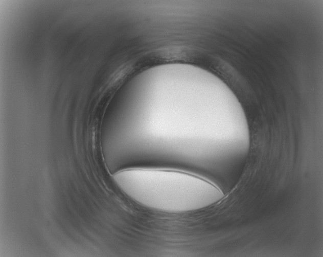 X0000078870124200611131038
