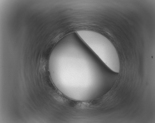 X0000078870125200611131038