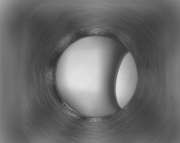 X0000078870127200611131038