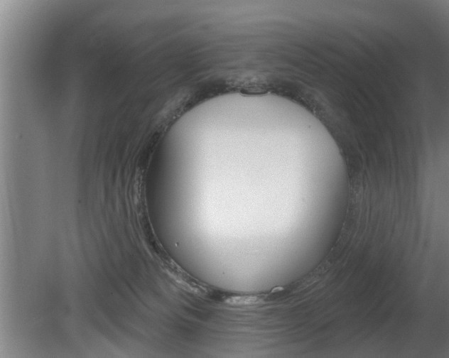 X0000078870133200611131038