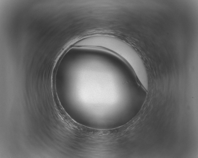 X0000078870148200611131037