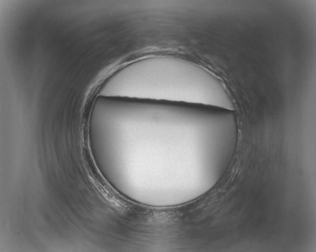 X0000078870149200611131037