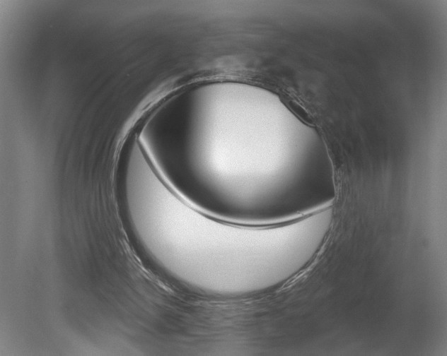X0000078870150200611131037