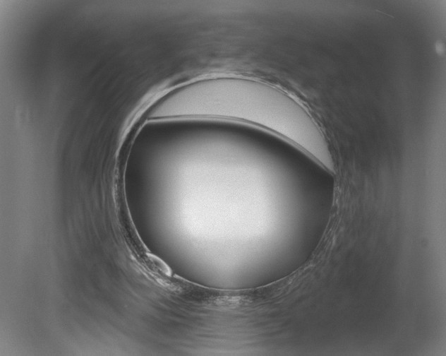 X0000078870152200611131037