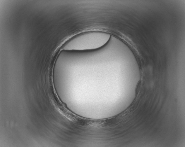X0000078870155200611131037