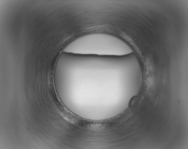 X0000078870161200611131037