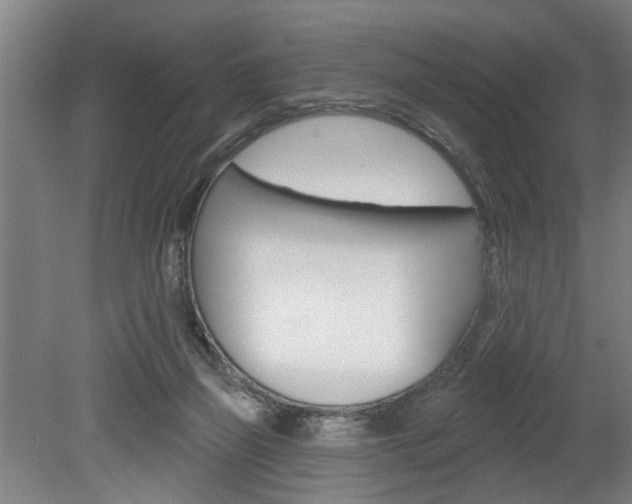 X0000078870165200611131037