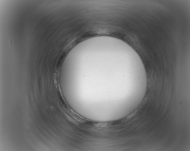 X0000078870175200611131037