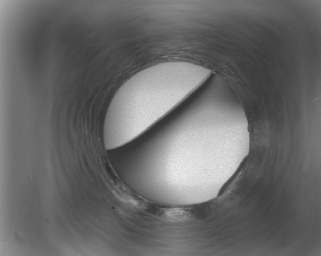 X0000078870183200611131037