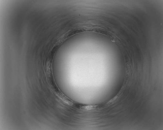 X0000078870184200611131037