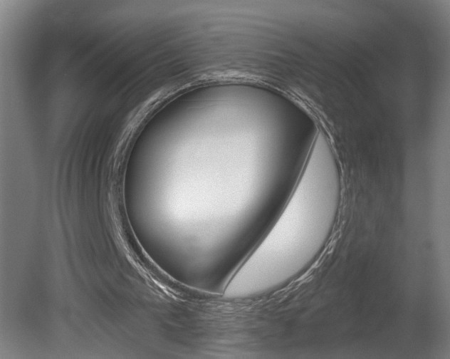 X0000078870193200611131037