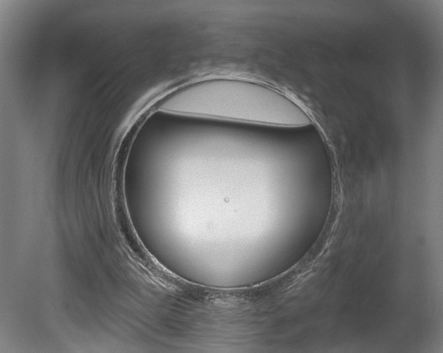 X0000078870199200611131037