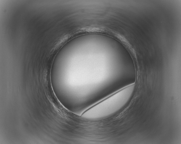 X0000078870201200611131037